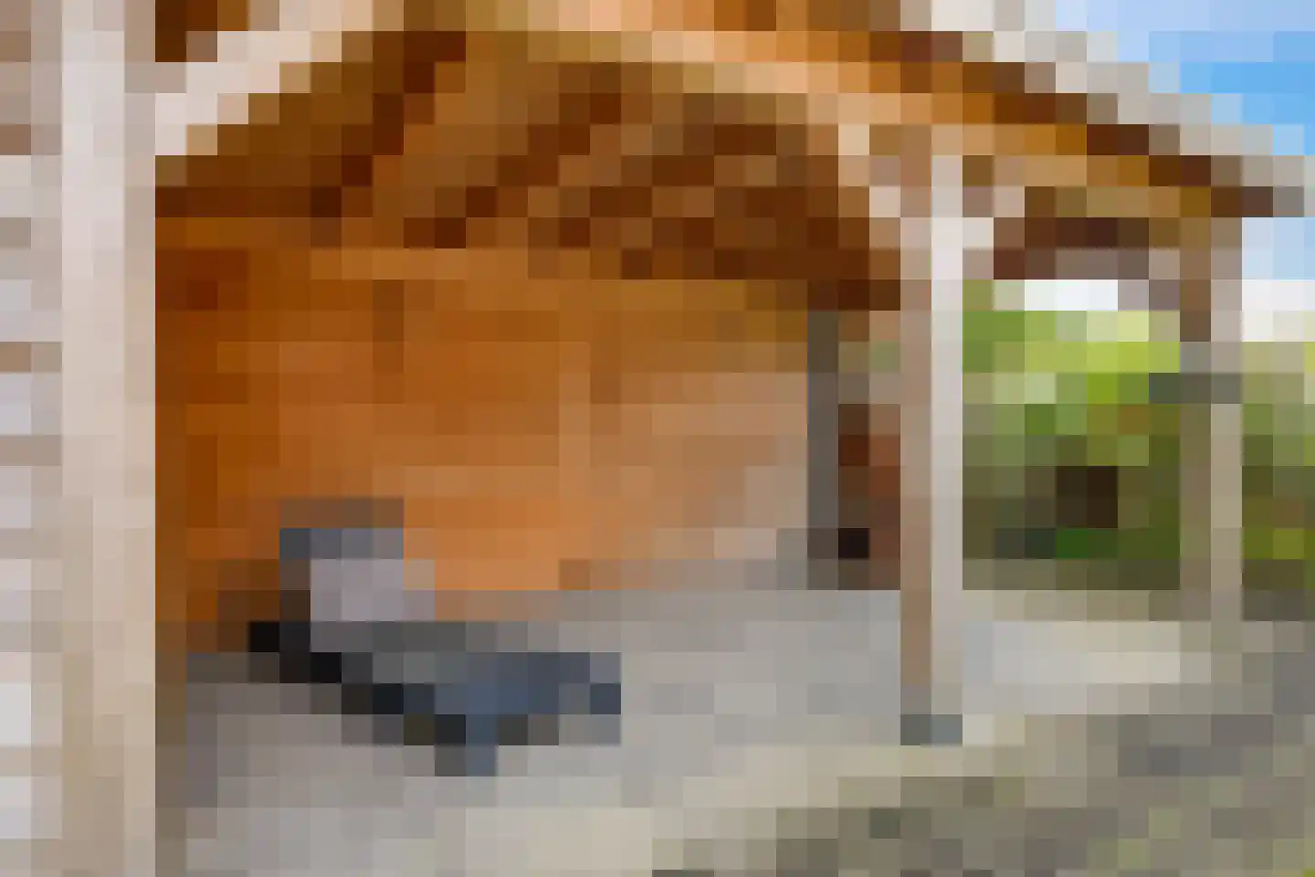 de Halden 34 Haalderen thumbnail 42