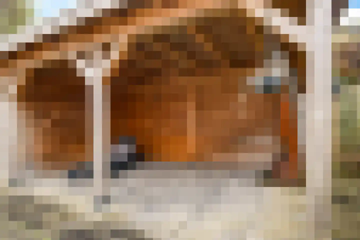 de Halden 34 Haalderen thumbnail 43
