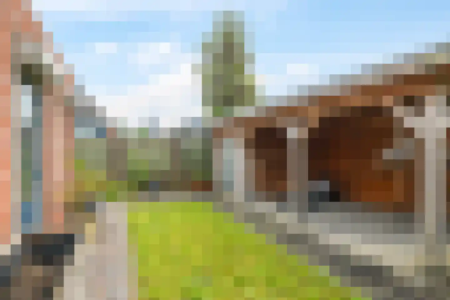 de Halden 34 Haalderen thumbnail 48