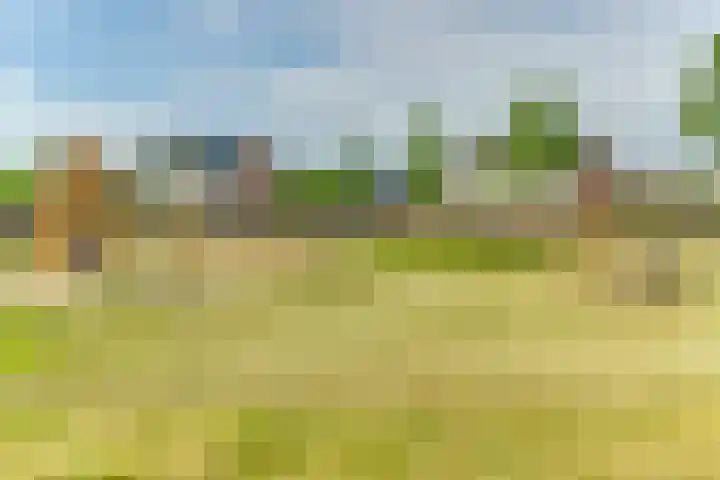 de Halden 49 Haalderen thumbnail 33