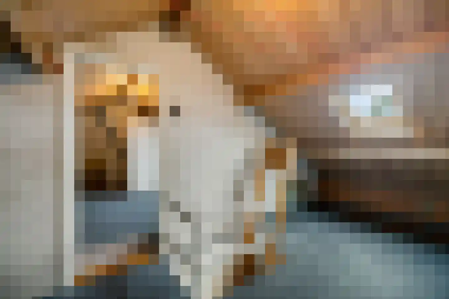 De Halewei 2 Damwâld thumbnail 23