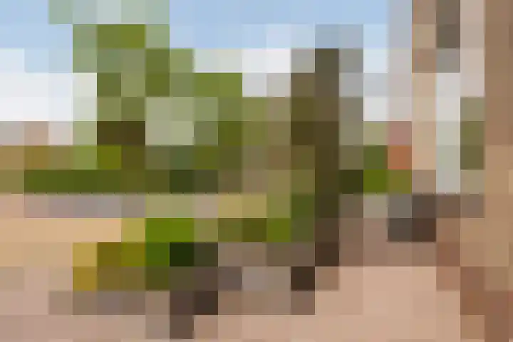 De Halewei 33 Damwâld thumbnail 10
