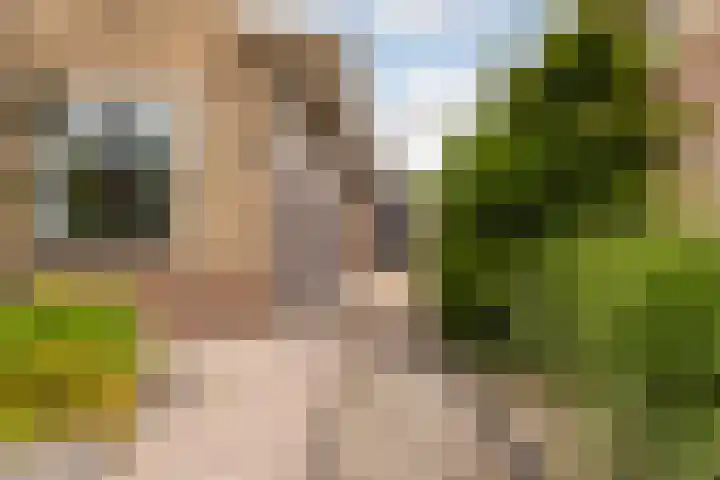 De Halewei 33 Damwâld thumbnail 11