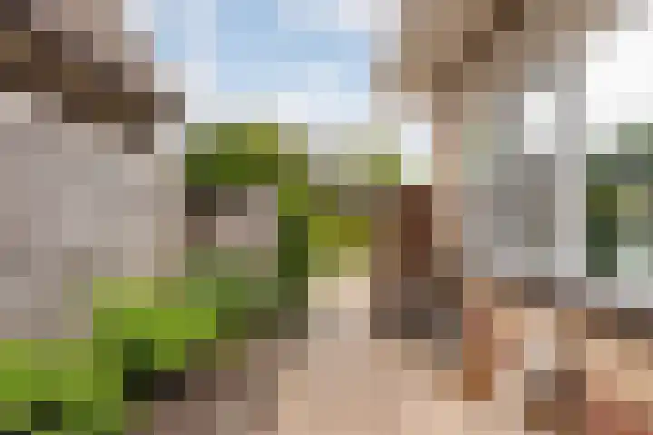 De Halewei 33 Damwâld thumbnail 12