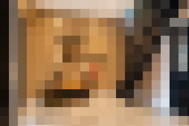 De Halewei 33 Damwâld thumbnail 13