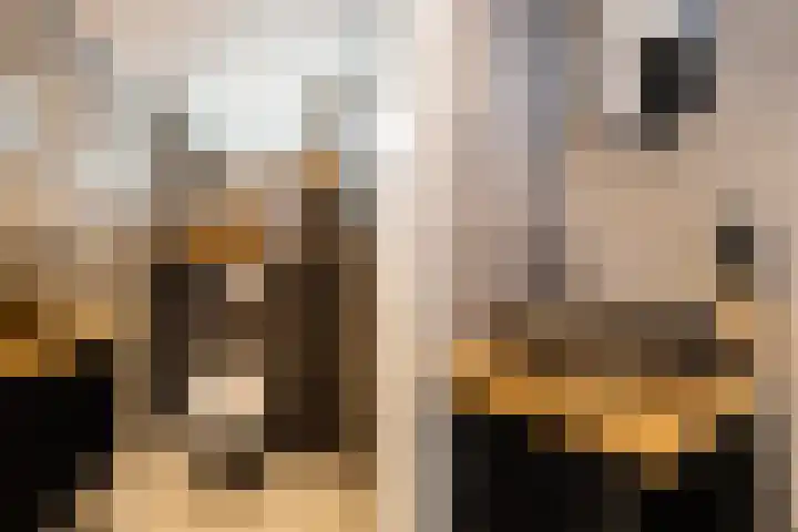 De Halewei 33 Damwâld thumbnail 14