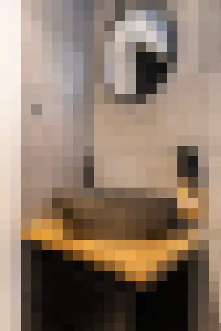 De Halewei 33 Damwâld thumbnail 16