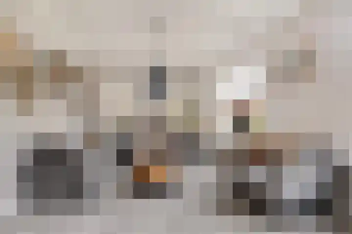 De Halewei 33 Damwâld thumbnail 19