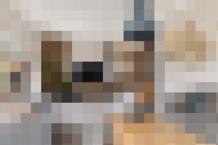De Halewei 33 Damwâld thumbnail 20