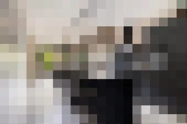 De Halewei 33 Damwâld thumbnail 21