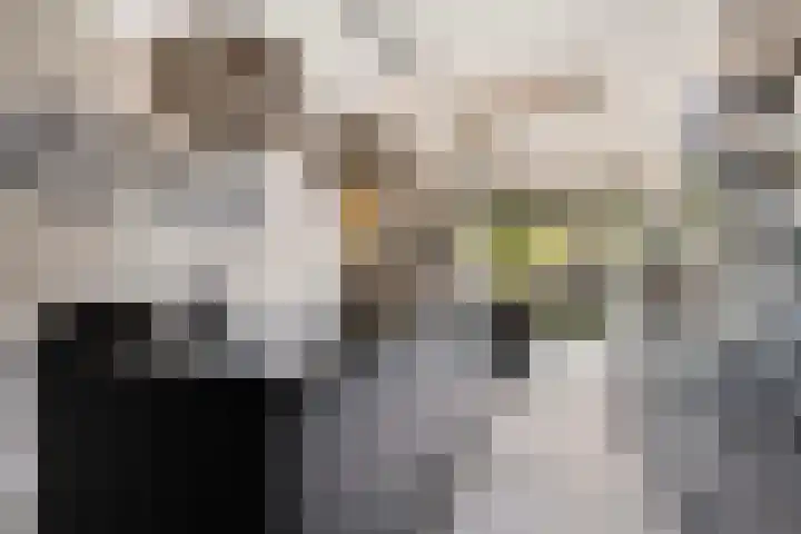 De Halewei 33 Damwâld thumbnail 22