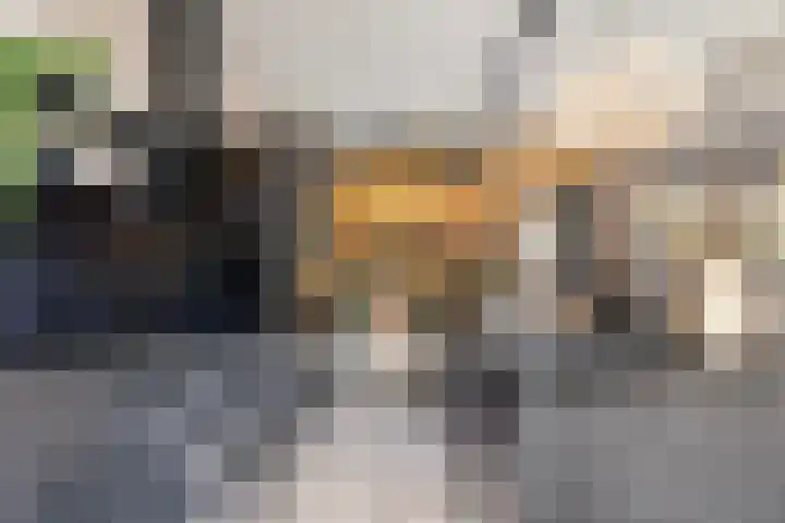De Halewei 33 Damwâld thumbnail 23