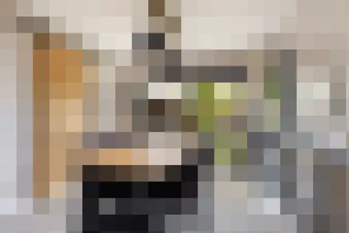 De Halewei 33 Damwâld thumbnail 24