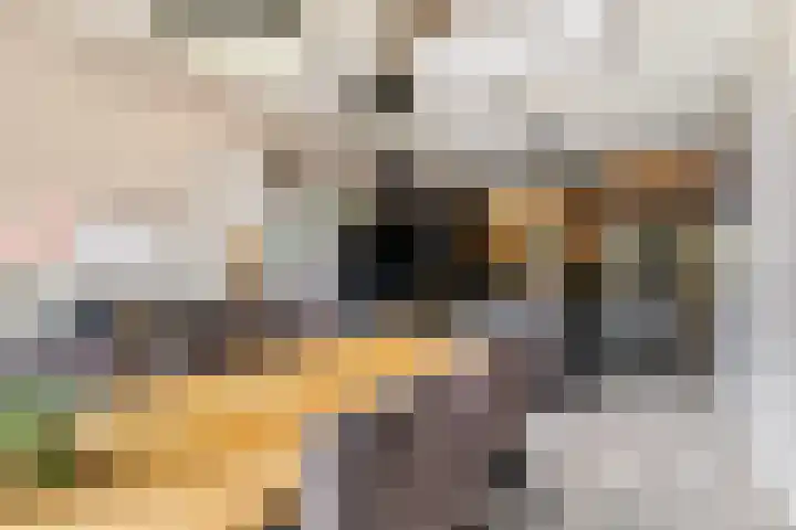 De Halewei 33 Damwâld thumbnail 25