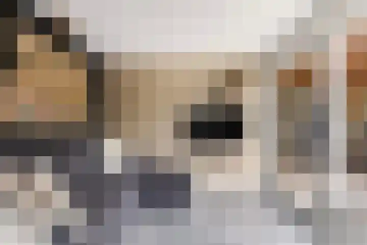 De Halewei 33 Damwâld thumbnail 26