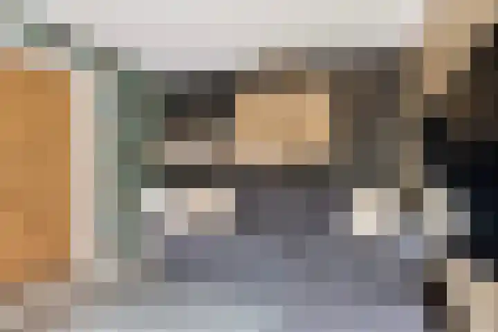 De Halewei 33 Damwâld thumbnail 27
