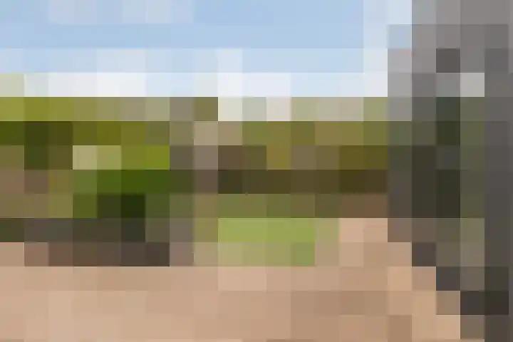 De Halewei 33 Damwâld thumbnail 28