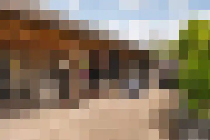 De Halewei 33 Damwâld thumbnail 29