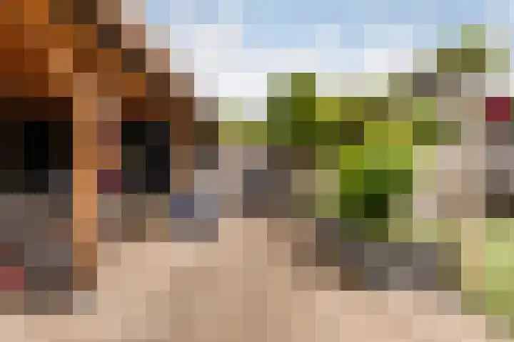 De Halewei 33 Damwâld thumbnail 30