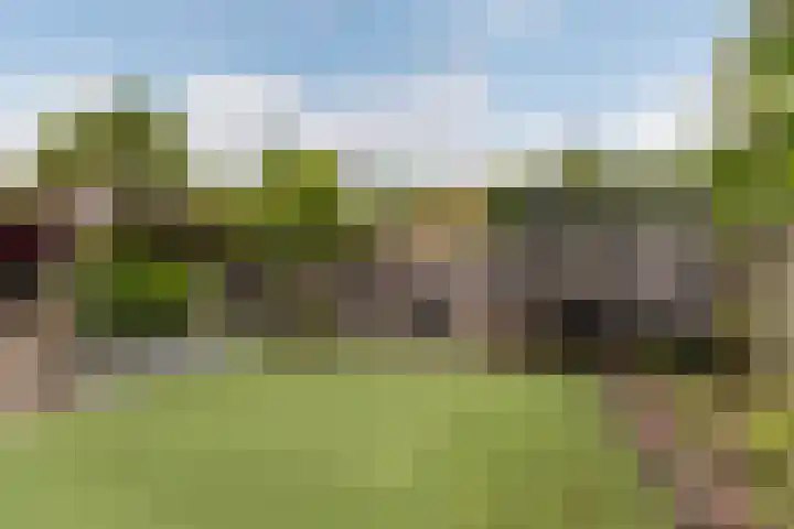 De Halewei 33 Damwâld thumbnail 32
