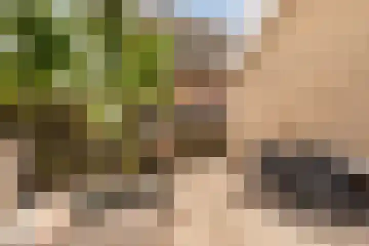 De Halewei 33 Damwâld thumbnail 35