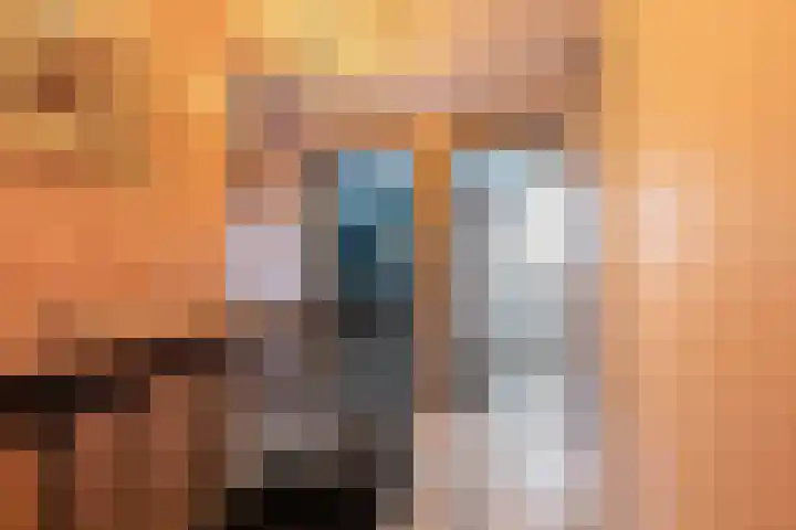 De Halewei 33 Damwâld thumbnail 37