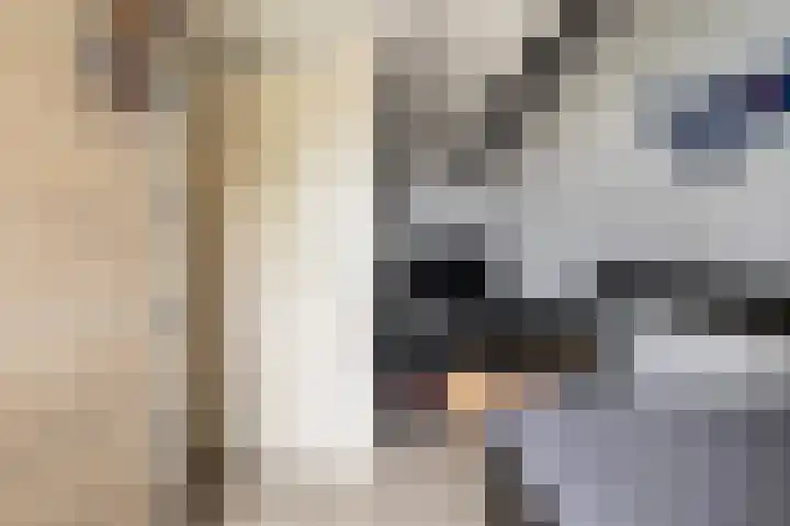 De Halewei 33 Damwâld thumbnail 38