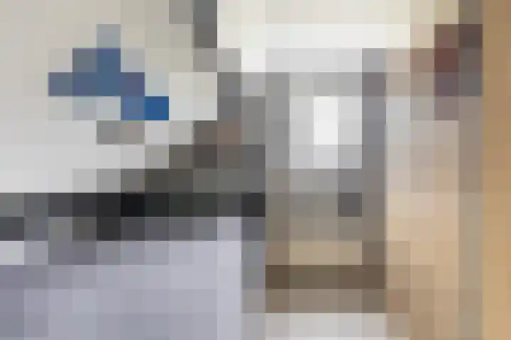 De Halewei 33 Damwâld thumbnail 39