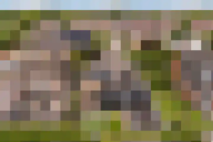 De Halewei 33 Damwâld thumbnail 5