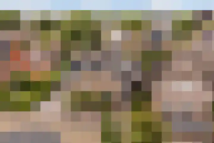De Halewei 33 Damwâld thumbnail 6