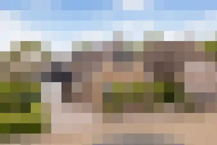 De Halewei 33 Damwâld thumbnail 7