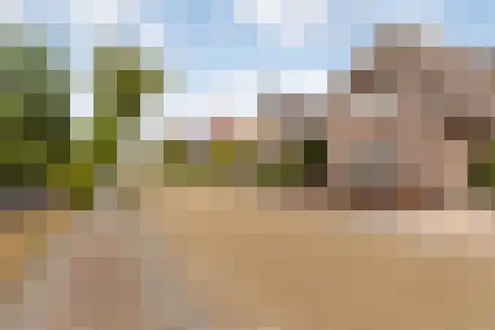De Halewei 33 Damwâld thumbnail 9