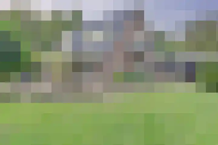 de Halmen 2 dans Voorst