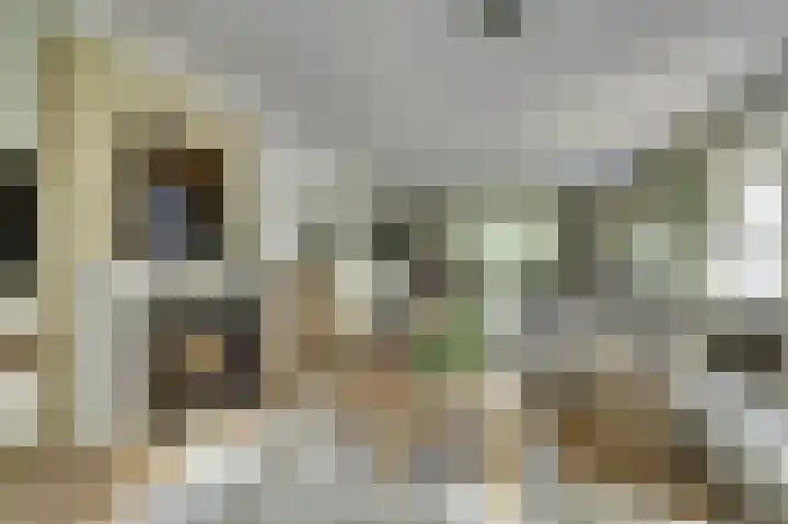 de Halmen 2 Voorst thumbnail 30
