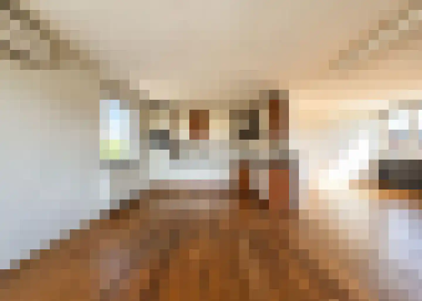 De Halstraat 17 a Stein thumbnail 12