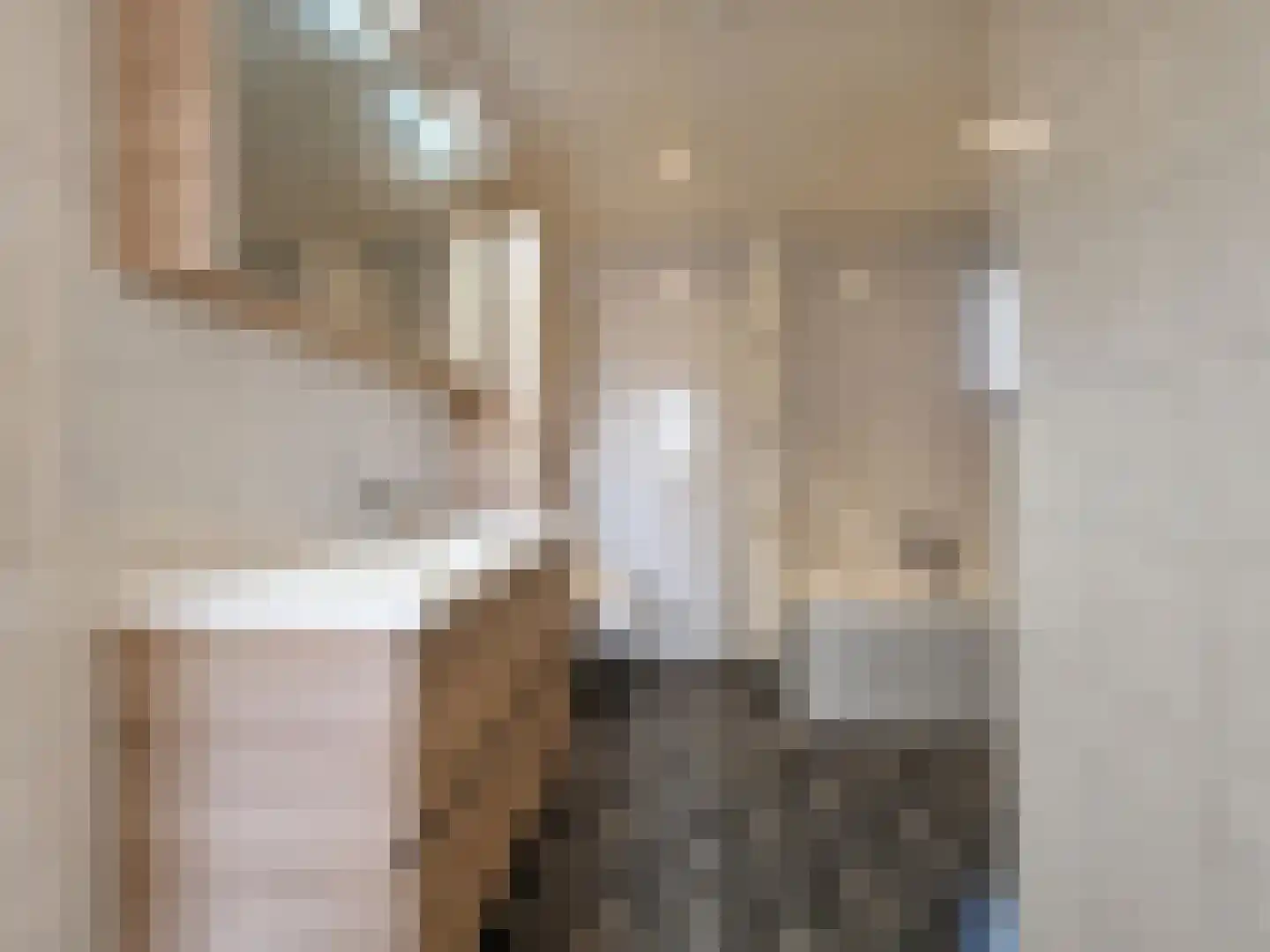 De Halstraat 17 a Stein thumbnail 19