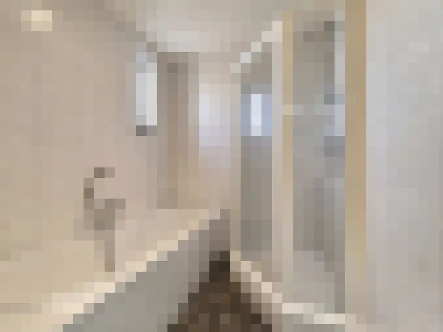 De Halstraat 17 a Stein thumbnail 20