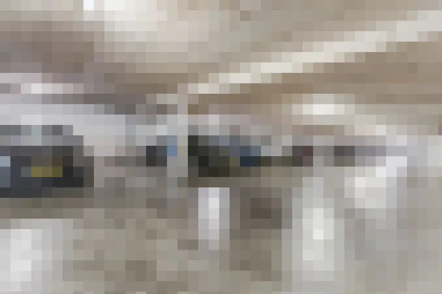 De Halte 145 Ede thumbnail 30