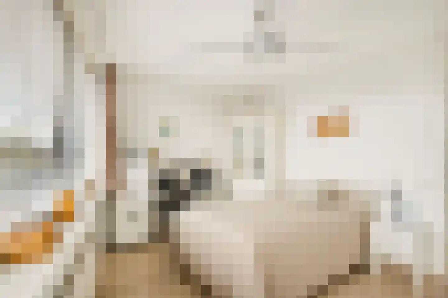 De Halte 155 Ede thumbnail 13