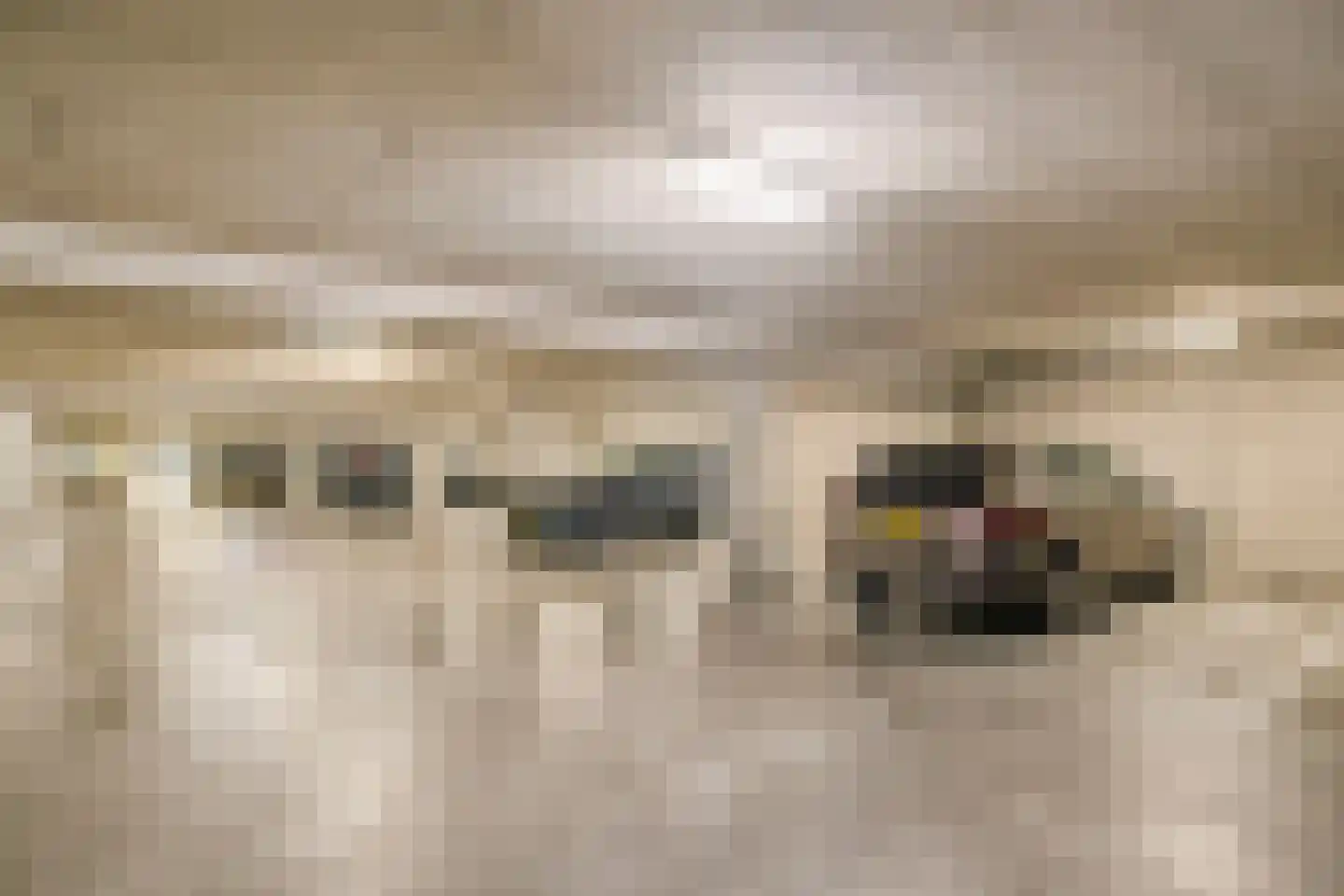 De Halte 155 Ede thumbnail 21