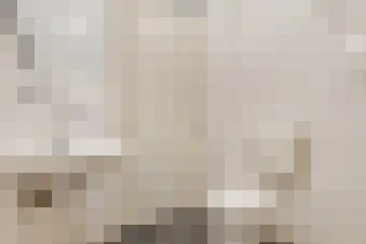 De Halte 247 Ede thumbnail 13