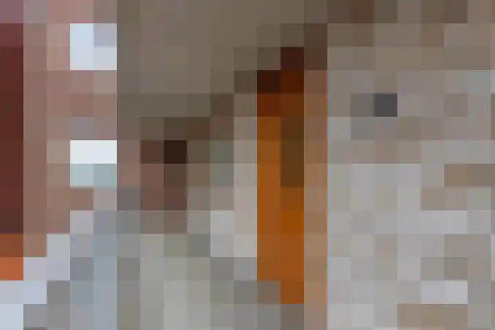 De Halte 247 Ede thumbnail 16