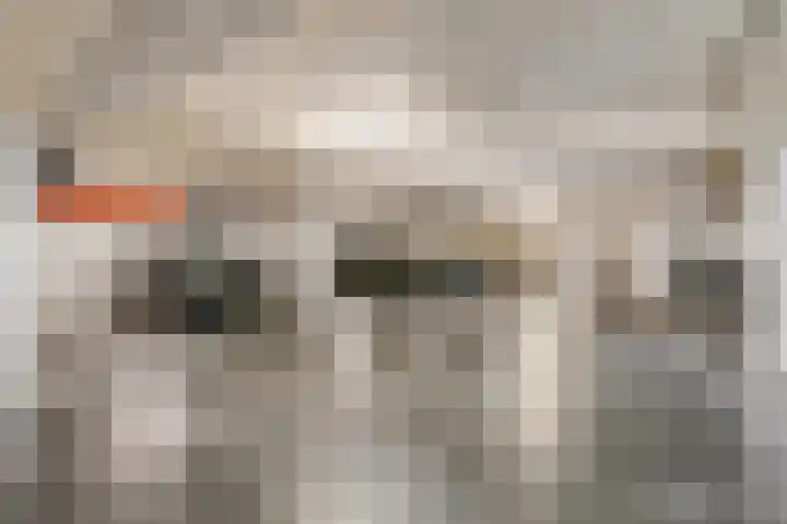 De Halte 247 Ede thumbnail 18