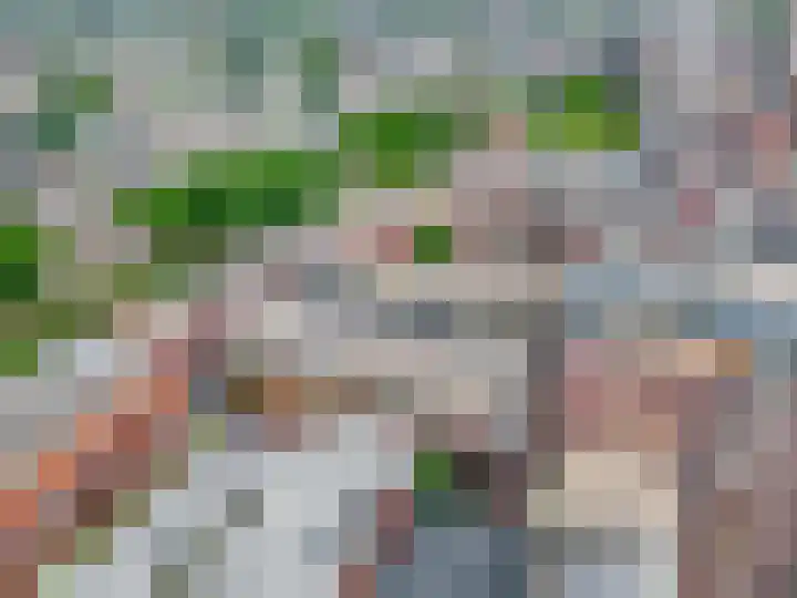 De Halte 247 Ede thumbnail 26