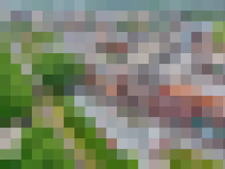 De Halte 247 Ede thumbnail 27
