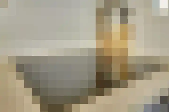 De Halte 55 Ede thumbnail 13