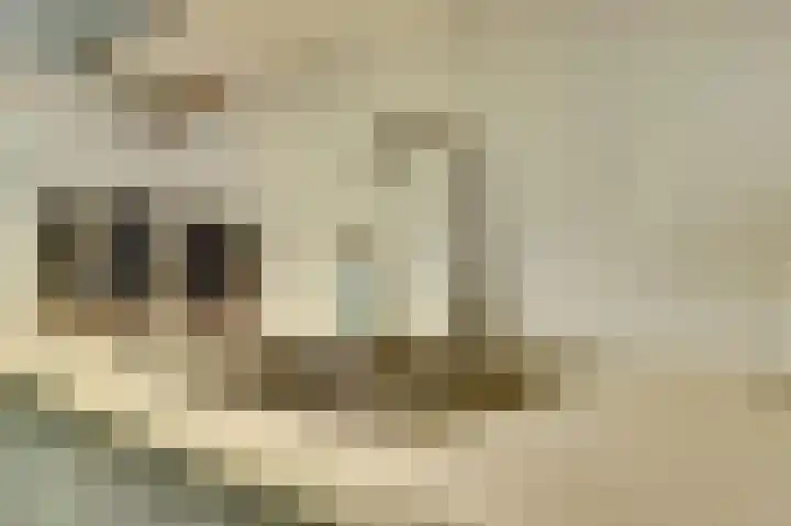 De Halte 55 Ede thumbnail 14