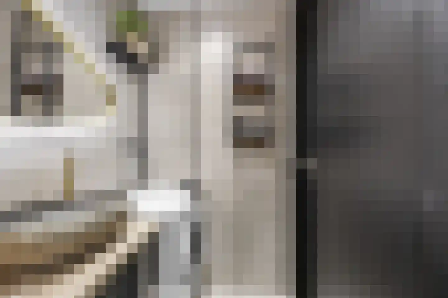 De Halte 55 Ede thumbnail 14