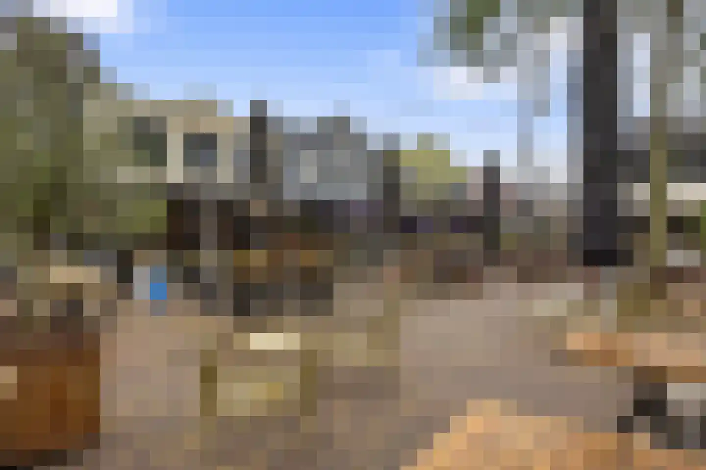 De Halte 55 Ede thumbnail 23