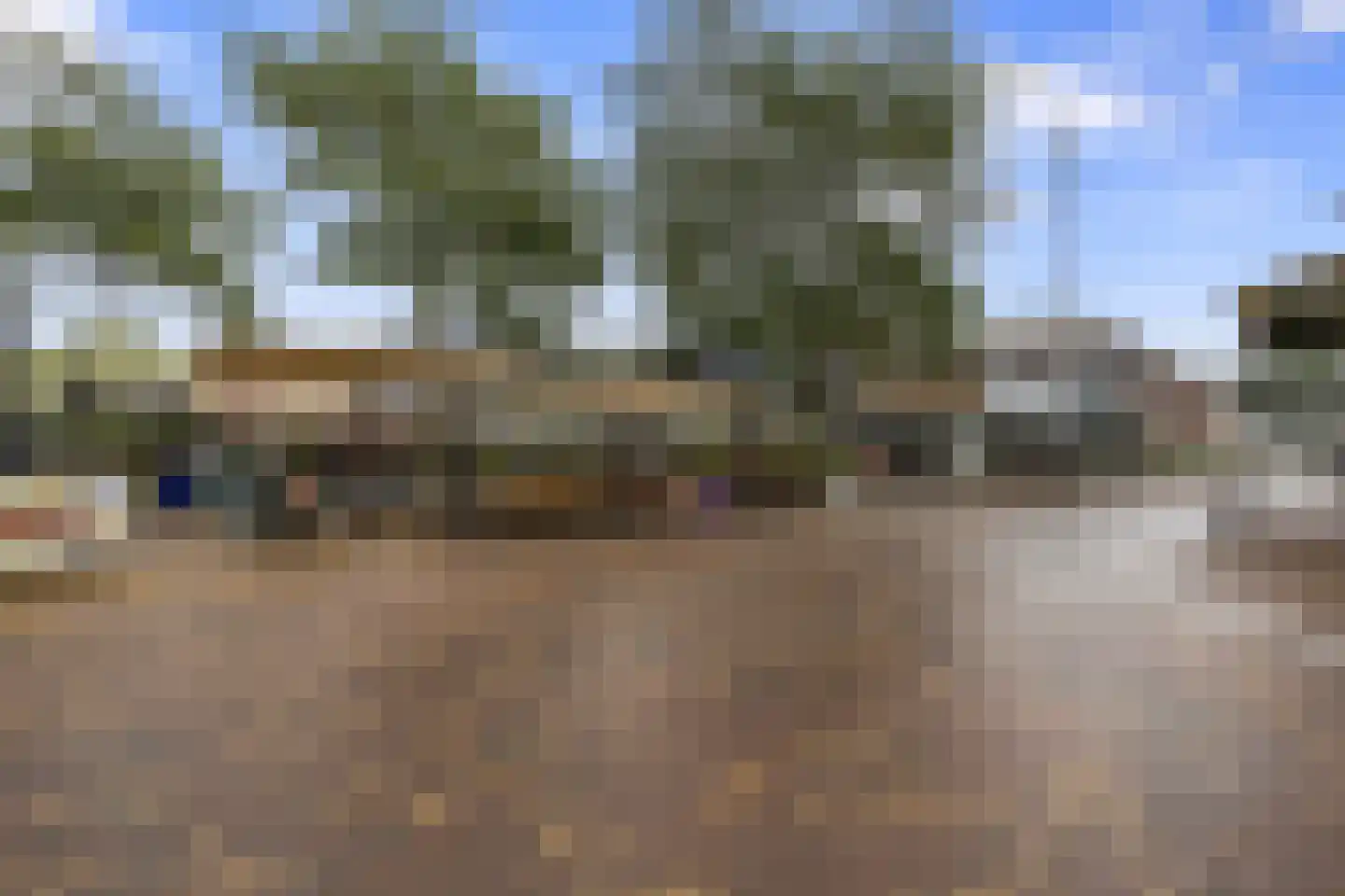 De Halte 55 Ede thumbnail 4